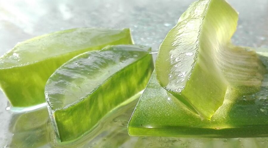 4 avantages étonnants pour la santé de l&rsquo;aloe vera
